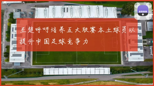 王楚呼吁培养五大联赛本土球员以提升中国足球竞争力